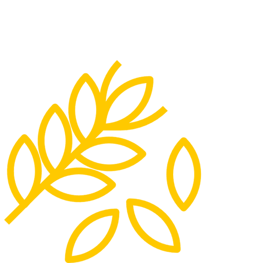 Дополнительные выгоды